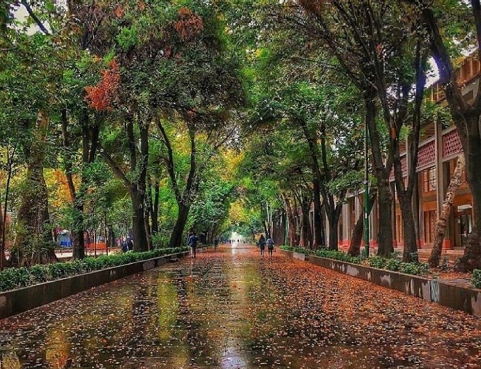 تور 5 روزه و ریلی اصفهان 23 بهمن 1401 ، حرکت از مشهد ( از 2.690.000 )