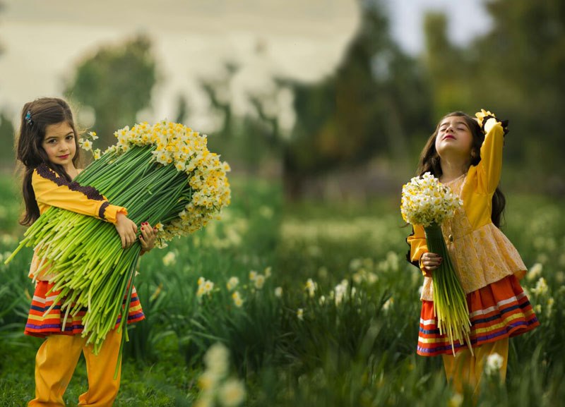 سبز شدن دل کشاورزان ماسالی با جشنواره گل نرگس