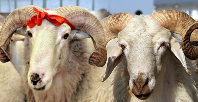عید قربان در آینه تاریخ اقوام ایرانی