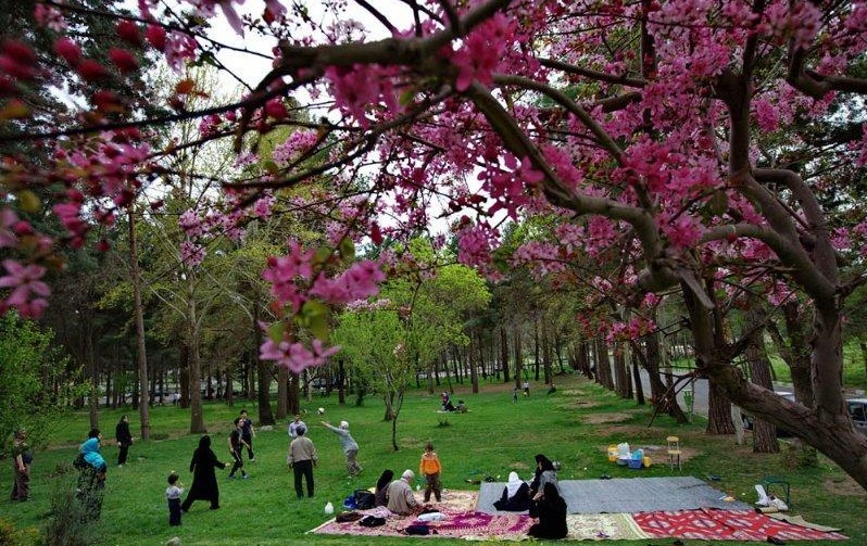 چرا ایرانیان به طبیعت در سیزدهمین روز فروردین علاقمندند؟