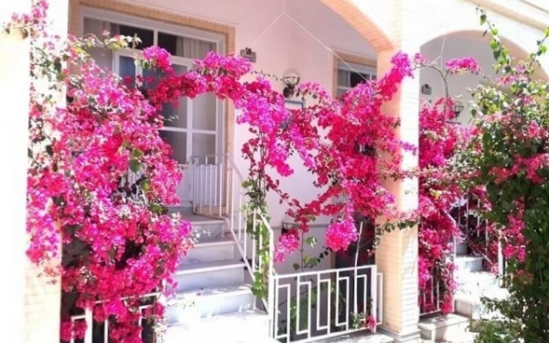 مهمانپذیر بنیاد یزد