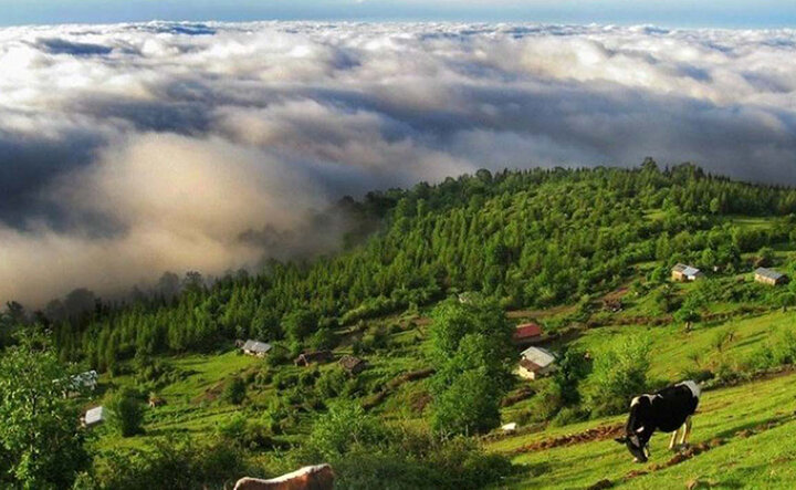جاهای دیدنی کلاردشت در زمستان