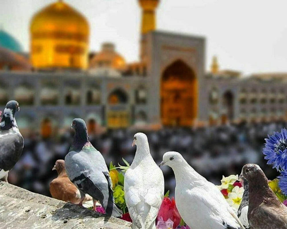 تور 4 روزه مشهد از تهران 14 بهمن 1403